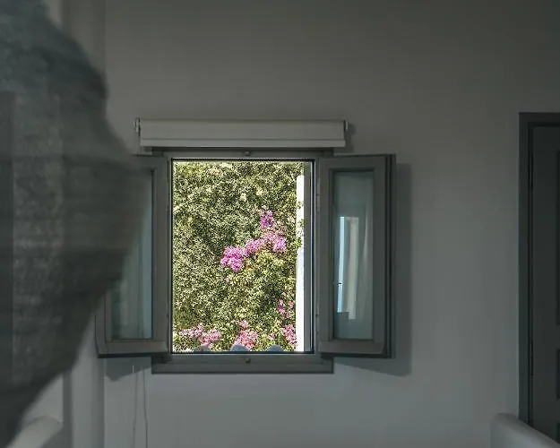 Terra * Parikia (Paros)