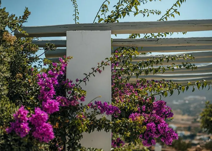 Terra Parikia (Paros)