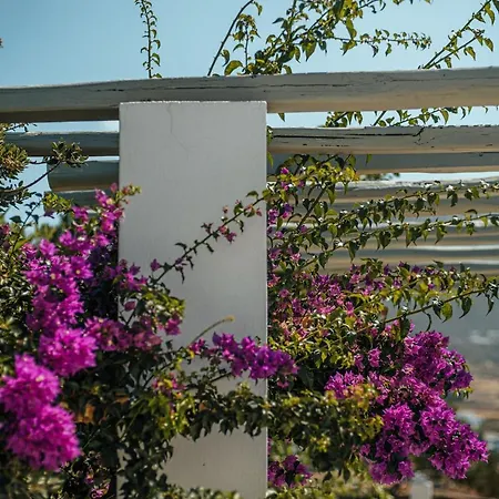 Terra Parikia (Paros)